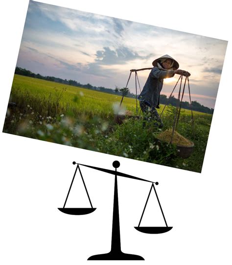 Understanding Balance in Photography  .